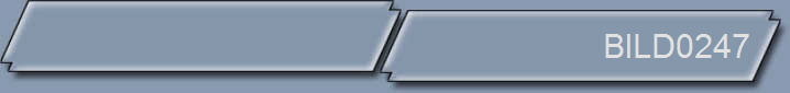 BILD0247