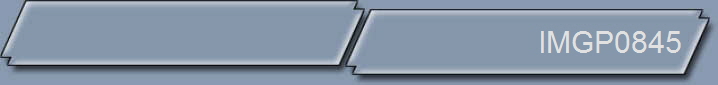 IMGP0845