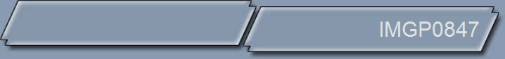 IMGP0847